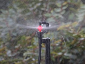 a06891cf-466e-43aa-ad96-e81ea8296366.__CR0,0,1600,1200_PT0_SX800_V1___